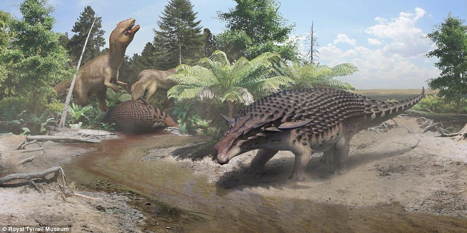 Tiến sĩ Caleb Brown, một nhà nghiên cứu ở Bảo tàng Royal Tyrrell (Canada), cho biết: "Đối với hầu hết những cấu trúc phức tạp ở sinh vật sống như lông đuôi ở chim, màu sắc ở thằn lằn, sừng ở động vật có vú, thì động lực tiến hóa chung là chọn lọc giới tính. Tuy nhiên, điều đó không có nghĩa là loại trừ chức năng phòng vệ hoặc nhận dạng loài". Ảnh: Royal Tyrrell Museum.