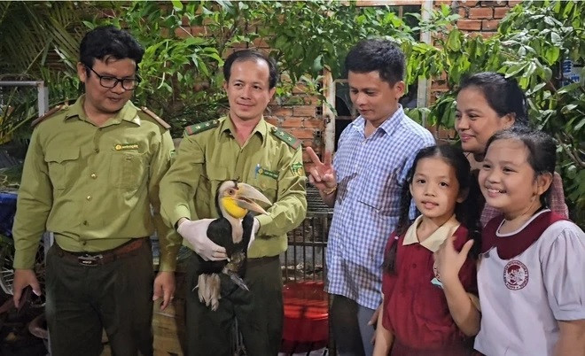Chi cục Kiểm lâm TP.HCM ngày 15/5/2024 cho hay đã tiếp nhận và đưa về cứu hộ một con niệc mỏ vằn thuộc danh mục động vật rừng nguy cấp, quý hiếm do một người dân ở huyện Hóc Môn tự nguyện bàn giao. Ảnh: N.K/Vietnamnet.