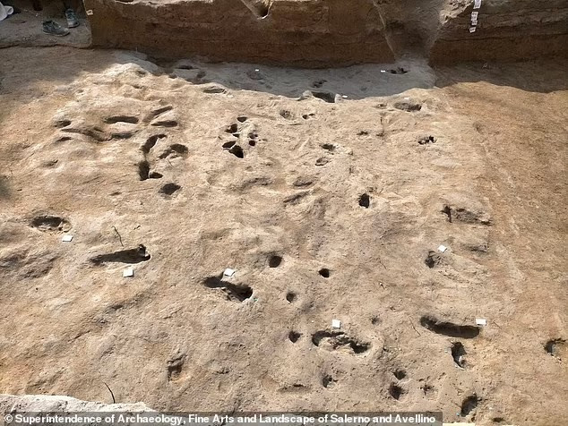 Vụ phun trào núi lửa được nhiều người biết đến nhất là việc núi lửa Vesuvius "thức giấc" vào năm 79 sau Công nguyên. Thảm kịch kinh hoàng này đã cướp đi sinh mạng của khoảng 16.000 người tại Vịnh Naples, Italy. Tuy nhiên, hơn 2.000 năm trước, ngọn núi lửa cao hơn 600m này đã chứng kiến một đợt phun trào còn dữ dội hơn, khiến cư dân nơi đây phải chạy trốn tìm nơi trú ẩn an toàn. Ảnh: Superintendency of Archaeology, Fine Arts and Landscape for the Provinces of Salerno and Avellino.