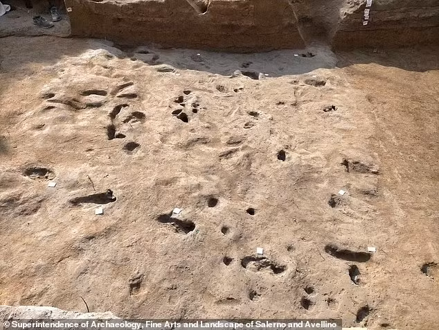 Vụ phun trào núi lửa được nhiều người biết đến nhất là việc núi lửa Vesuvius "thức giấc" vào năm 79 sau Công nguyên. Thảm kịch kinh hoàng này đã cướp đi sinh mạng của khoảng 16.000 người tại Vịnh Naples, Italy. Tuy nhiên, hơn 2.000 năm trước, ngọn núi lửa cao hơn 600m này đã chứng kiến một đợt phun trào còn dữ dội hơn, khiến cư dân nơi đây phải chạy trốn tìm nơi trú ẩn an toàn. Ảnh: Superintendency of Archaeology, Fine Arts and Landscape for the Provinces of Salerno and Avellino.