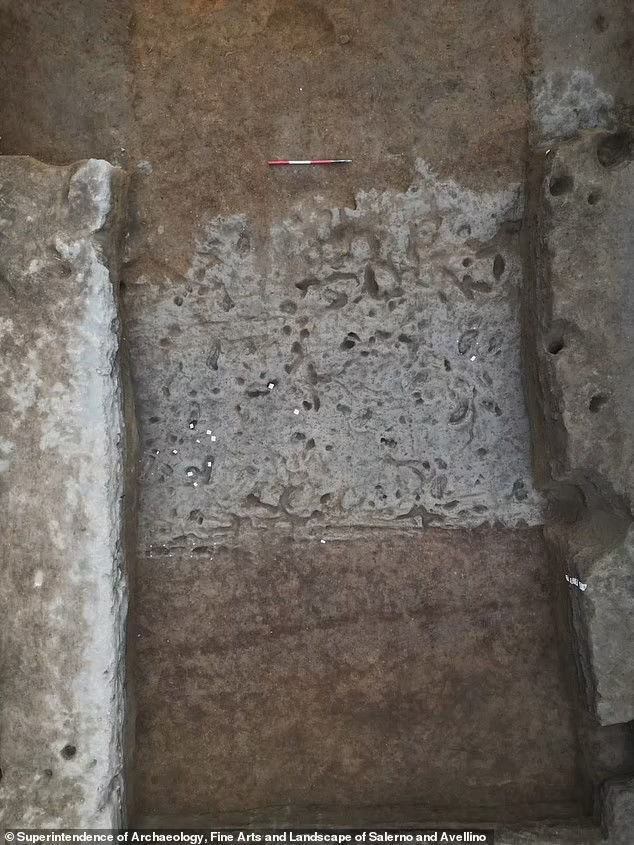 Theo các chuyên gia, vụ phun trào Avellino kéo dài ít nhất 3 giờ và có thể đã cướp đi sinh mạng của hàng nghìn người. Ảnh: Superintendency of Archaeology, Fine Arts and Landscape for the Provinces of Salerno and Avellino.