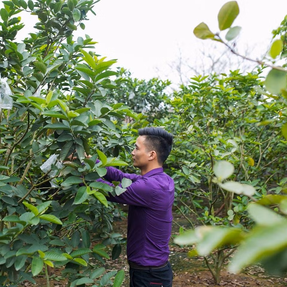 "Ca sĩ Lệ Rơi" cho biết dù anh đã cố tránh những ồn ào từ lâu nhưng lần này anh vẫn vướng vào rắc rối từ những lý do "giời ơi". Ngoài những thông tin trên, Lệ Rơi còn khẳng định anh không phải cố ý chụp ảnh cùng Bella để gây sự chú ý bởi từ lâu Lệ Rơi đã từ bỏ và chán ngán việc bị quá nhiều người chú ý, xăm soi như trước đây. Lệ Rơi hiện tại chỉ tập trung vào công việc của riêng mình.