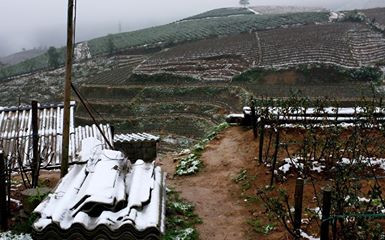 Sau khi đến được Sapa, nhiều dân phượt sung sướng, làm hẳn "cầu truyền hình trực tiếp", liên tục cập nhật hình ảnh, các đoạn video về khung cảnh Sapa tuyết phủ trắng xóa.