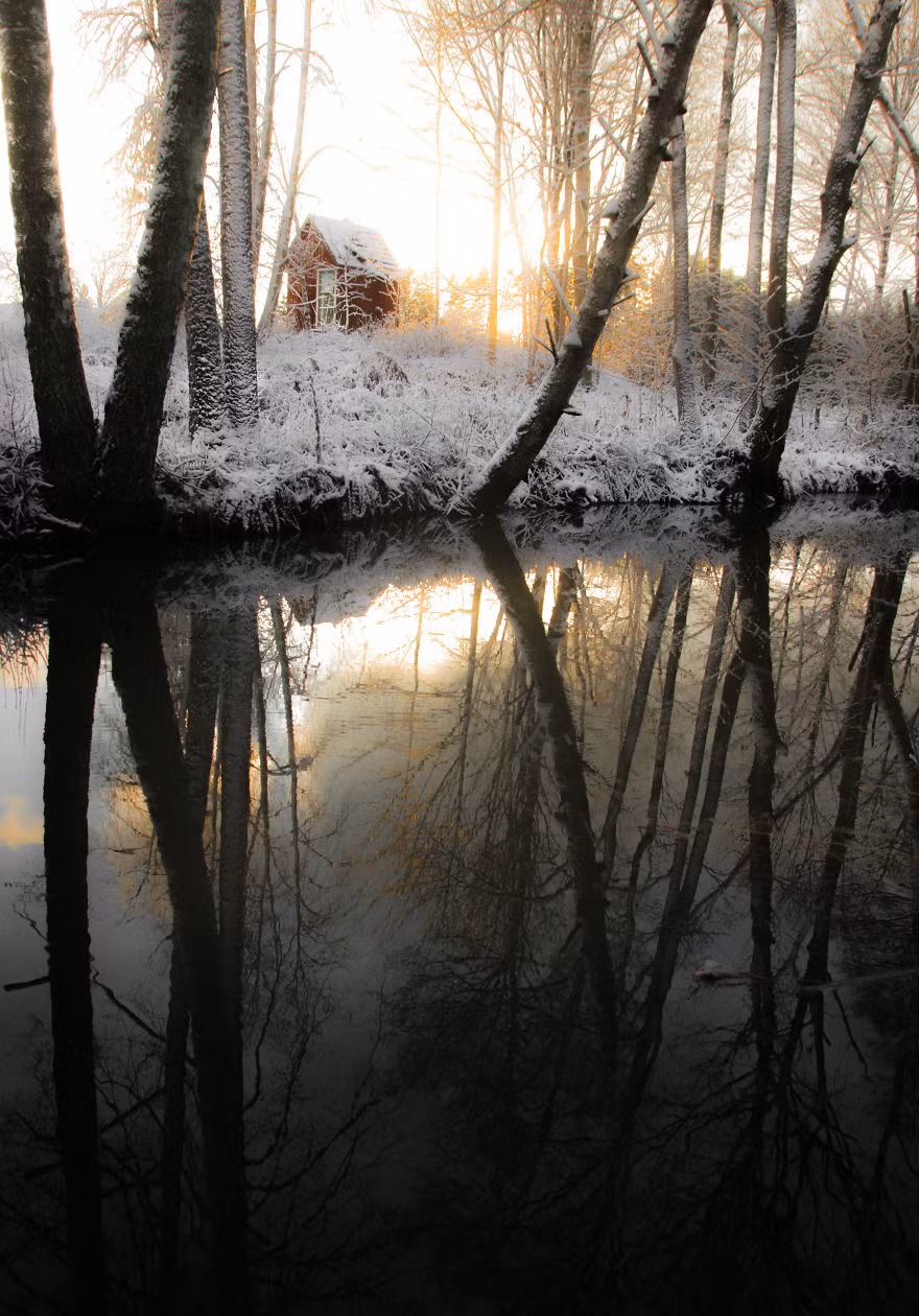 Một chút màu tươi sáng hiếm hoi trong những ngày đầu đông đầy khắc nghiệt Thuỵ Điển.