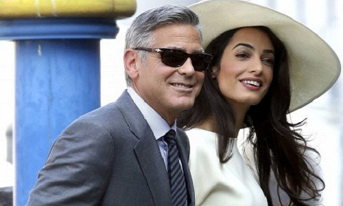 Ket cuc dau don khi trau gia co gam co non