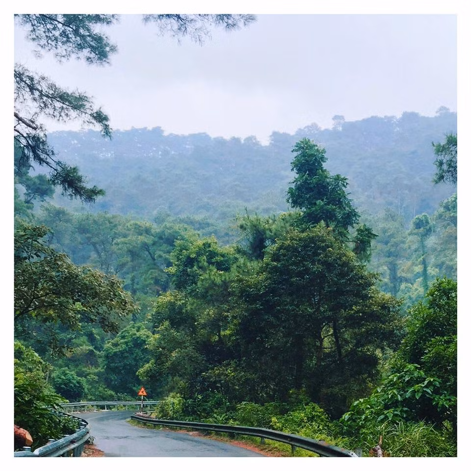 Tam Đảo Tiết trời ở đây có thể sánh ngang với Sa Pa. Mùa đông, Tam Đảo trở thành địa điểm du lịch nghỉ dưỡng lý tưởng. Độ cao này đã tạo cho Tam Đảo một cảnh quan đẹp và không khí trong lành mát mẻ, được ví như Đà Lạt của miền Bắc. Nhiều năm trở lại đây, Tam Đảo trở thành một điểm đến quen thuộc cho những du khách ở các tỉnh lân cận, đặc biệt là du khách ở Hà Nội. Ảnh: Hạ Ngân.