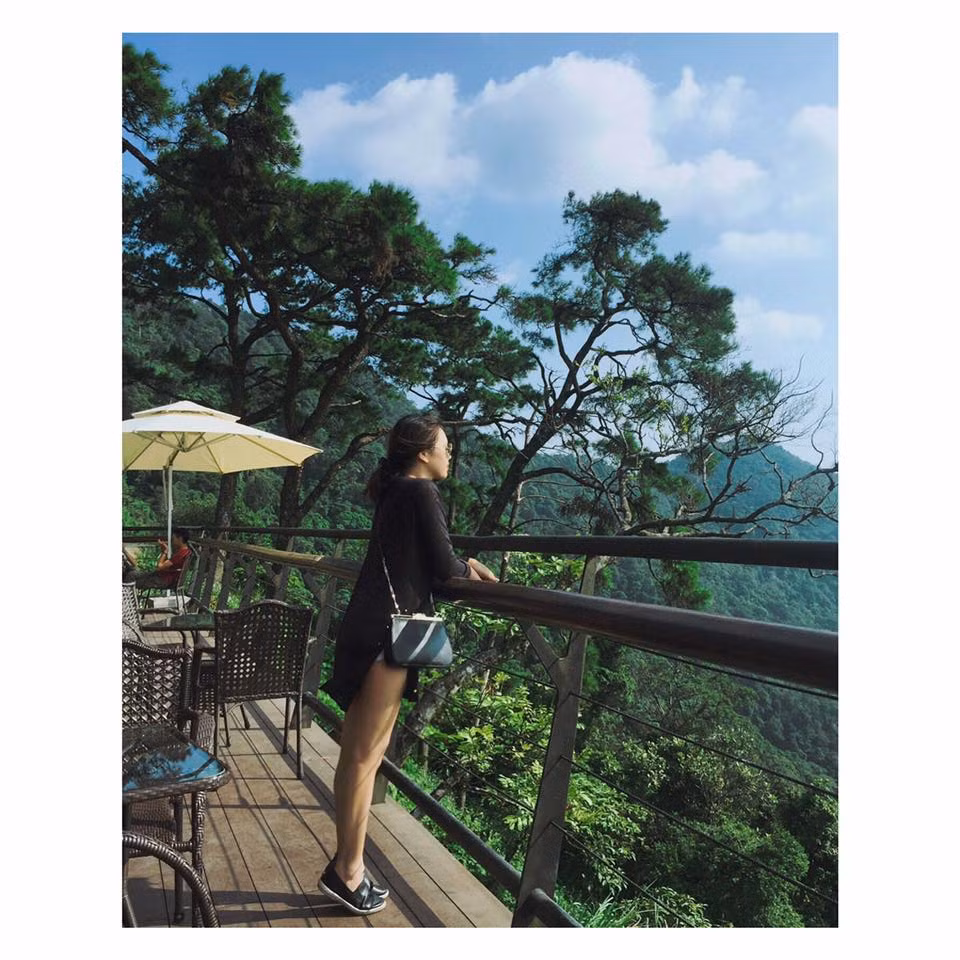 Tam Đảo trong khoảng thời gian giữa tháng 11 là đẹp nhất trong năm. Bởi lúc này tiết trời nơi đây vẫn chưa mang cái rét cắt da cắt thịt. Bạn sẽ được tận hưởng cảm giác thư giãn với thiên nhiên trong cái rét nhè nhẹ. Ảnh: Facebook Hạ Ngân.