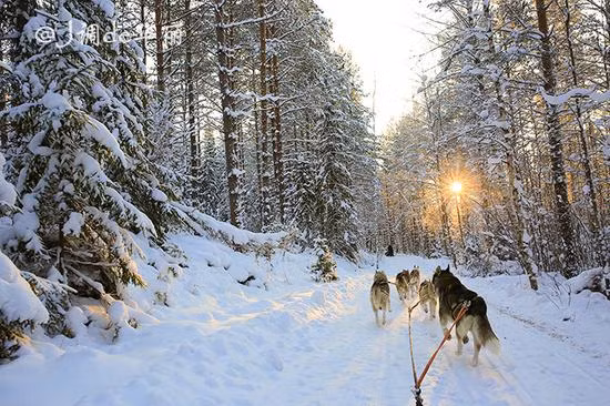Mùa đông tại Phần Lan sẽ kéo dài từ 100 – 200 ngày, tùy thuộc vào các địa phương khác nhau. Một điều đặc biệt của mùa đông tại phía Bắc vòng Cực Bắc là những đêm cực, thời điểm mặt trời không bao giờ mọc, thường kéo dài 51 ngày trong một năm.
