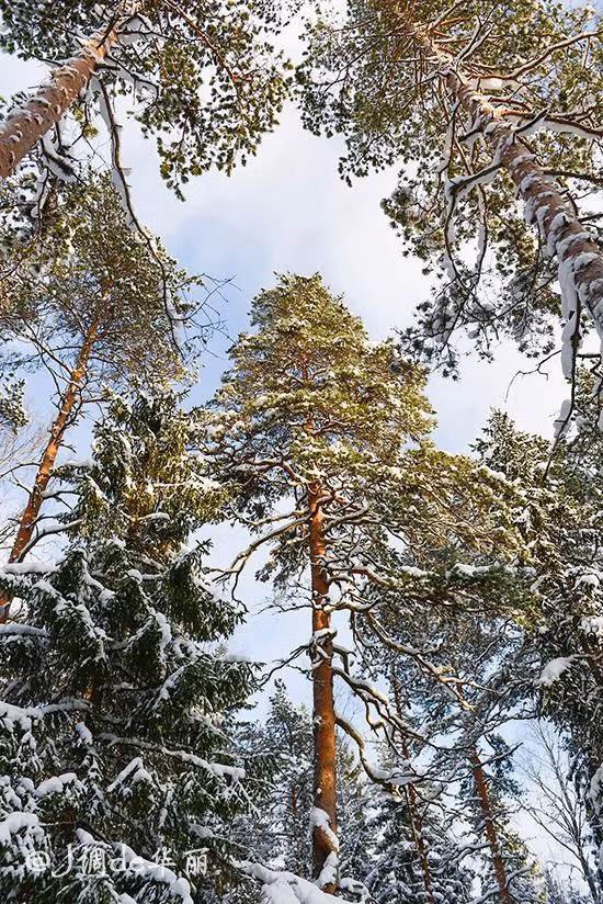 Tuy nhiệt độ trung bình âm 25 độ C nhưng trời sẽ không lạnh như bạn tưởng tượng. Chỉ cần mặc ấm rồi tự tin bước ra khỏi nhà để tưởng thức vẻ đẹp của những bông tuyết phủ kín đất trời Phần Lan.