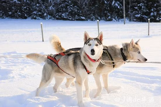 Có giai đoạn, trên nhiều vùng đất ở khắp vùng lãnh thổ phía Bắc Phần Lan không có ban đêm. Hiện tượng này gọi là đêm trắng.