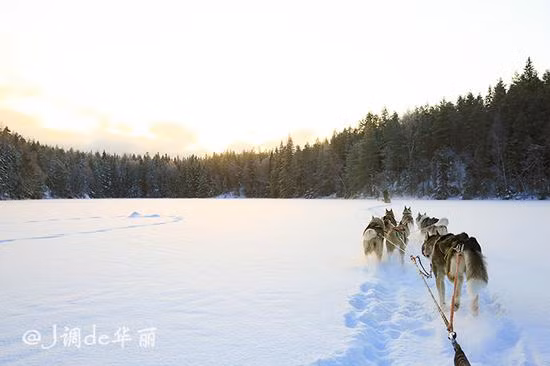 Vào mùa đông, nhiệt độ ở vùng đất này xuống rất thấp. Chính vì vậy, ngoài con người và những chú chó kéo xe với lớp da lông dày thì, hầu hết các loại động vật đều đã di chuyển đến nơi khác hoặc ngủ đông, để lại cho Espoo một không gian im lặng đến nghẹt thở.