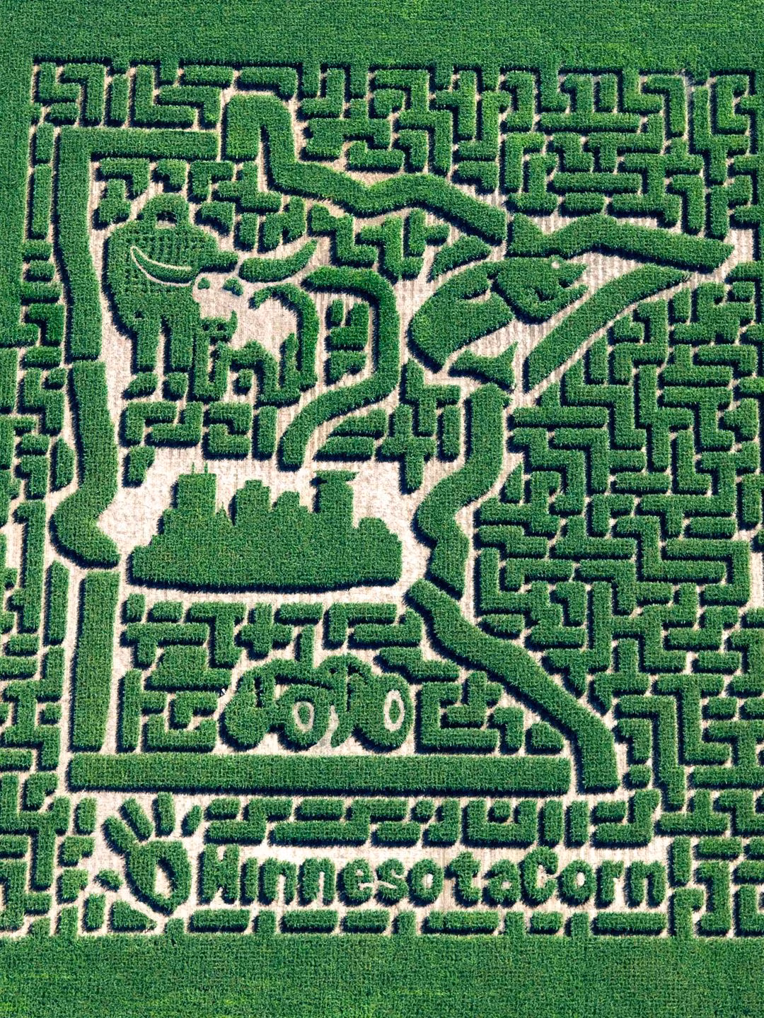 Hay như thông điệp quảng cáo.