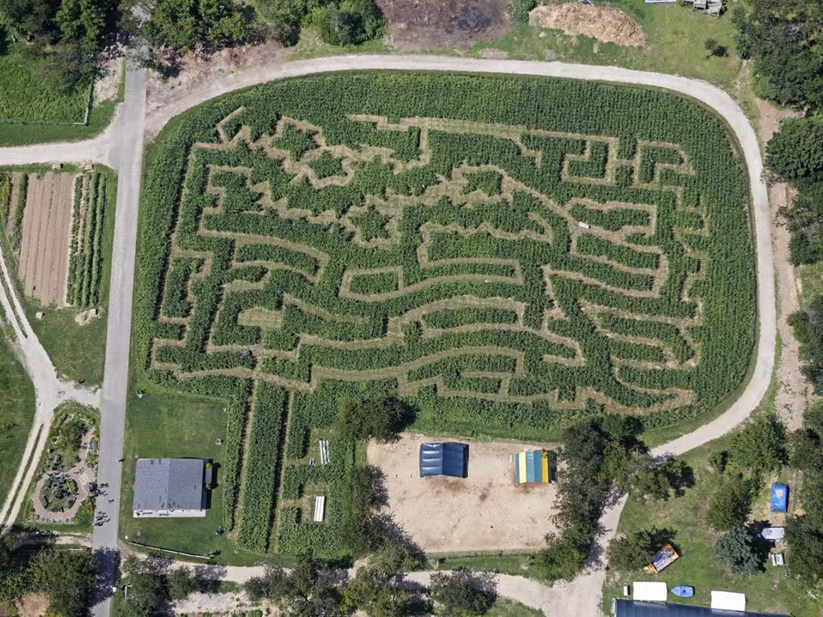 Dưới bàn tay tài hoa của người nông dân Mỹ, các ruộng ngô đã biến thành những tác phẩm nghệ thuật khổng lồ.