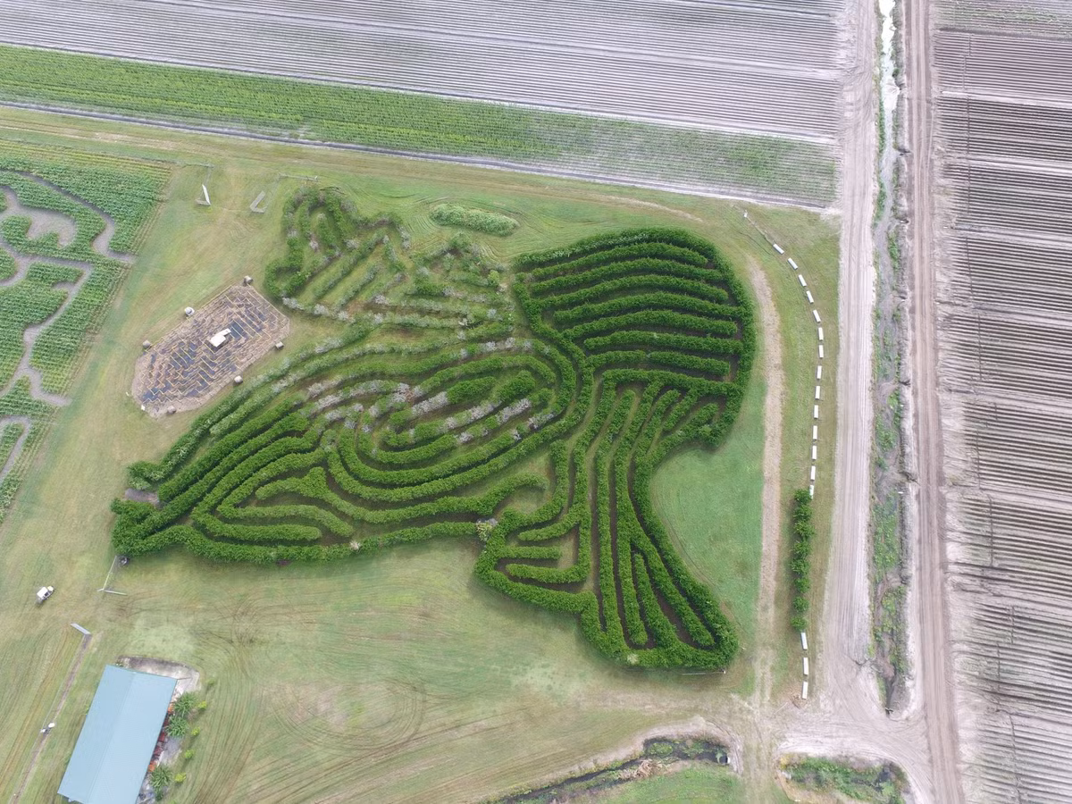 Chúng sẽ được tận dụng để thu hút các nhà đầu tư quảng cáo.