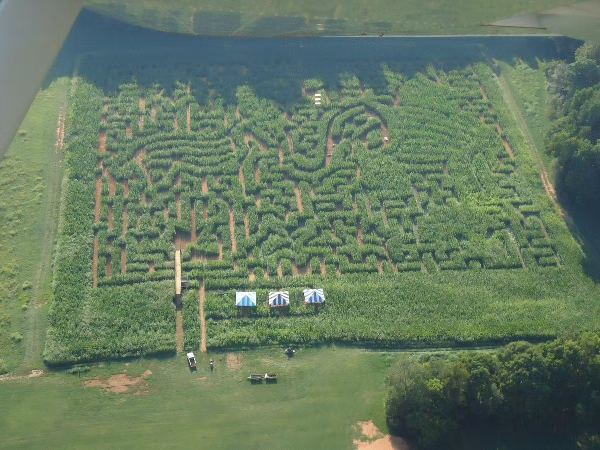 Còn nhiều người thì lại chỉ thích làm sao cho nó trở nên càng loằng ngoằng càng tốt.