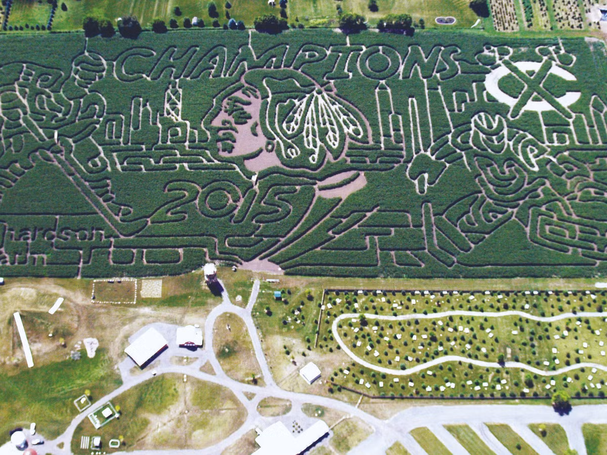 Tuỳ vào trình độ cảm thụ nghệ thuật mà các gia chủ sẽ lựa chọn cho mình hoạ tiết khác nhau để tạo nên mê cung ruộng ngô.