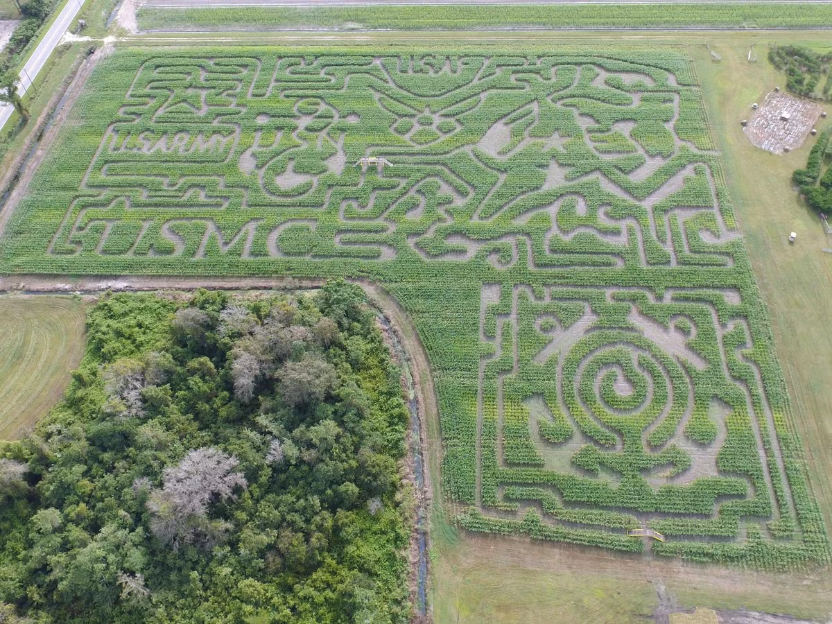 Các mê cung này không chỉ có giá trị thẩm mỹ mà còn có rất nhiều giá trị về kinh tế.