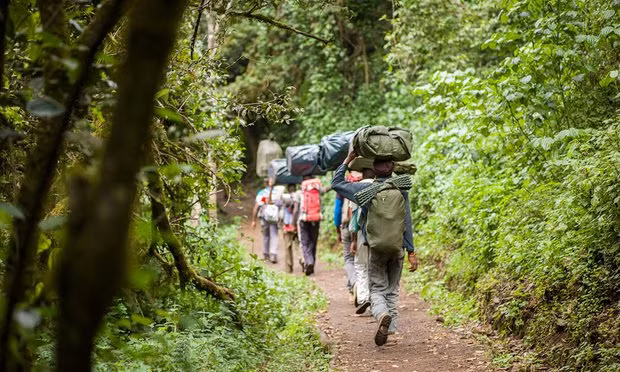 Công viên quốc gia Kilimanjaro cũng có các chính sách để bảo tồn thiên nhiên vô cùng khắt khe. Trên đường đi, người ta sẽ lập các trạm cân hành lý để đảm bảo rằng, du khách sẽ không ăn uống gì trên quãng đường trekking. Trước đây, vì khuân vác mệt mỏi nên du khách thường giấu rác của họ trong những bụi rậm.