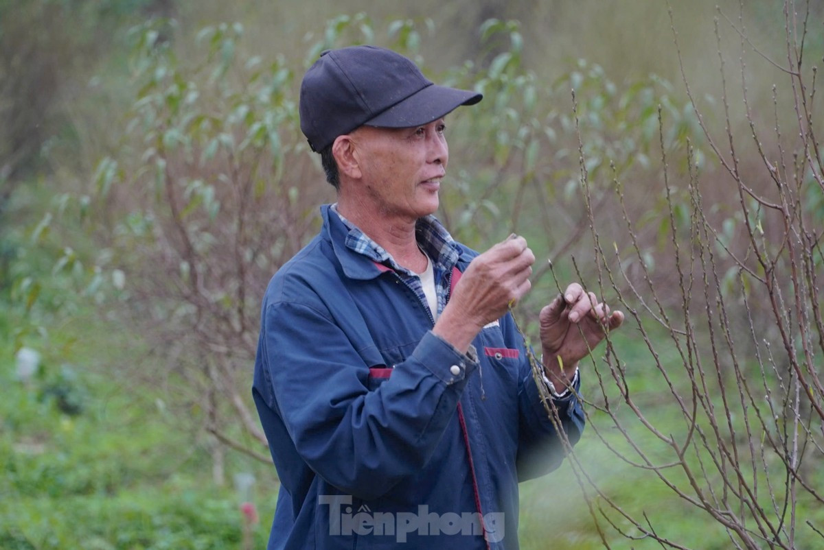 Nguoi dan lang dao tuot la, duong nu don Xuan ve-Hinh-6