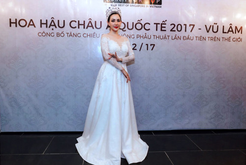 Hoa hậu Quý bà châu Á Vũ Lâm.