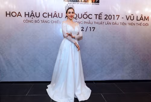 Hoa hậu Quý bà châu Á Vũ Lâm.