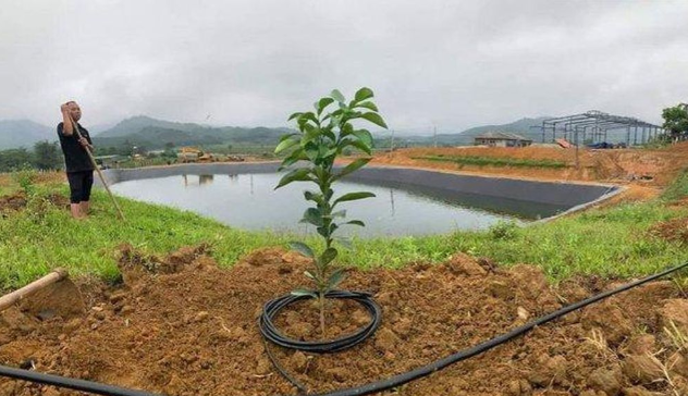  Một công nhân tử vong tại hồ nước của công ty: Tối 30/11, một số công nhân phát hiện anh Tr.H.Ph. (SN 1992, trú tại xã Thạch Trung, TP Hà Tĩnh) là công nhân công ty BATO Việt Nam chi nhánh tại thôn Kim Thành, xã Sơn Tây chết đuối tại hồ chứa nước của công ty. Hiện chính quyền địa phương đang phối hợp các cơ quan chức năng làm rõ nguyên nhân vụ việc. 