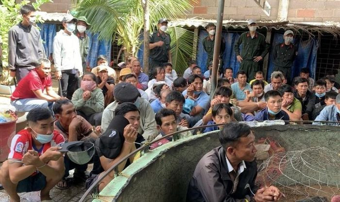  Vây bắt 70 người đánh bạc trong trường gà: Sáng 4/12,Công an tỉnh Bình Thuận phối hợp với Công an TP Phan Thiết, Cảnh sát 113 và Cảnh sát cơ động triệt phá sòng bạc dưới hình thức đá gà trong hẻm 99 Nguyễn Hội, phường Phú Tài, TP Phan Thiết. Đây là trường gà do Lê Tiến Đạt (SN 1975, ngụ TP Phan Thiết) làm chủ và đã hoạt động trong thời gian dài với 2 bồ gà. Khoảng 70 người bị bắt giữ cùng tang vật gần 40 con gà nòi, hàng trăm triệu đồng tiền mặt và xe máy của người đánh bạc.