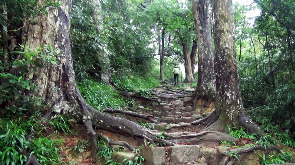 Năm 2011, rừng Yên Tử được Thủ tướng Chính phủ phê duyệt Quyết định số 1671/ QĐ-TTg ngày 26/9/2011, thành lập khu rừng Quốc gia Yên Tử thuộc loại khu rừng lịch sử - văn hóa – môi trường trong hệ thống các khu rừng đặc dụng Việt Nam.