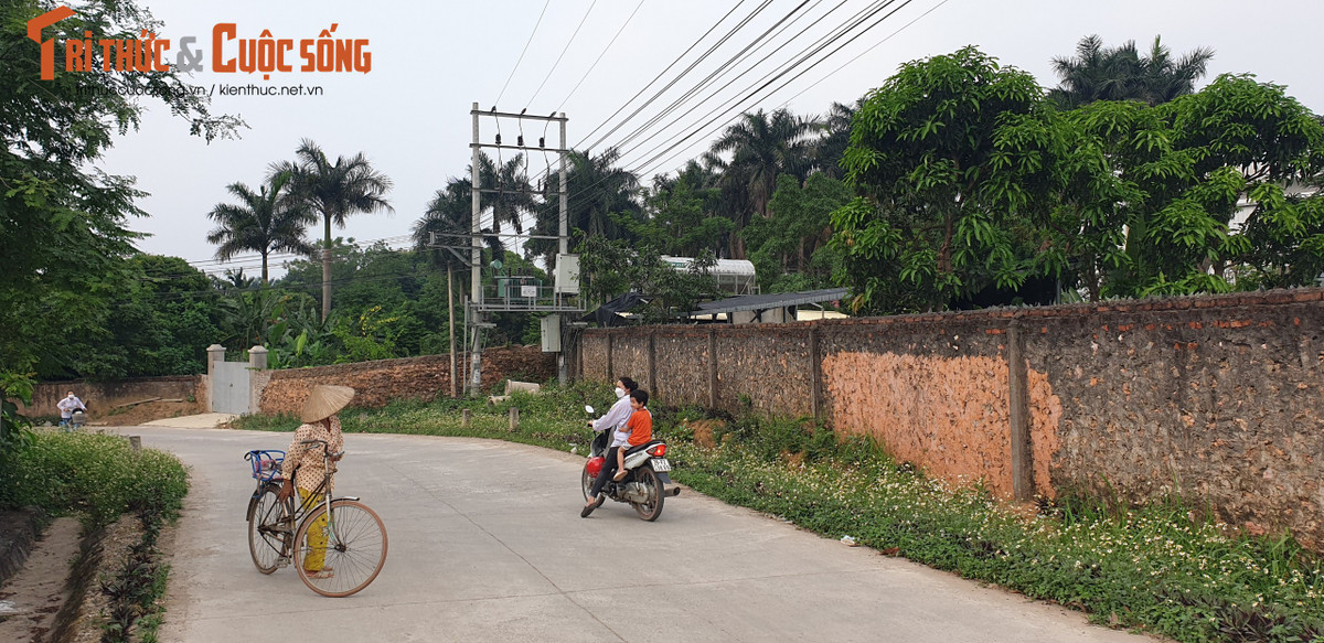 Sai pham keo dai tai Cty sua chua tran chau Ha Long¸ huyen Luong Son buong long?-Hinh-2