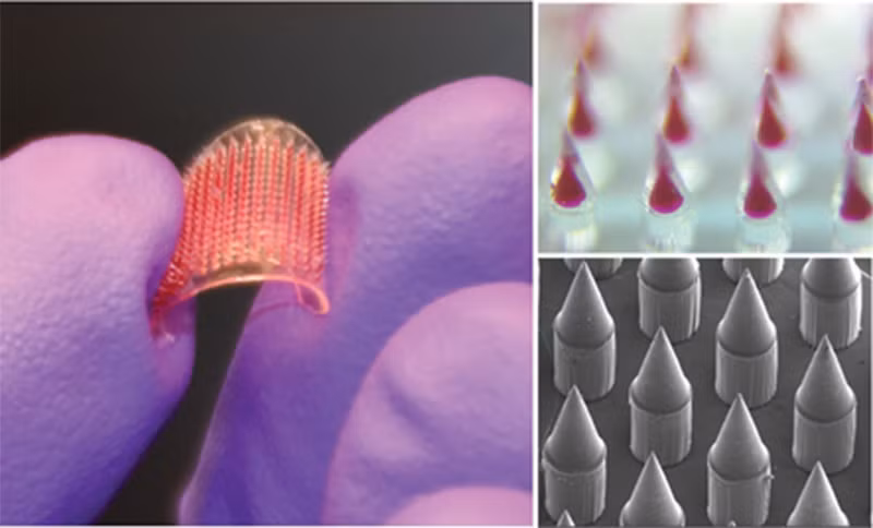 Nha khoa hoc Viet tai My noi bat voi nghien cuu mieng dan vac xin-Hinh-2