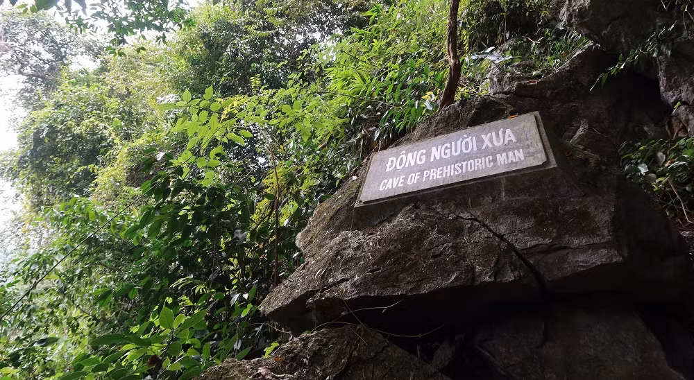 Đặc biệt có một số hang động còn lưu giữ những dấu tích của người tiền sử, sống cáchn gày nay từ 7.500 năm đến 12.000 năm, đó là hang Đắng (động người xưa), hang con Moong.