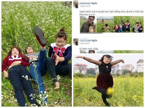 Nhân vật nhận nhiều gạch đá của dân mạng nhất trong tuần qua là nhóm bạn trẻ ở Thái Nguyên, lên Mộc Châu du lịch, đến vườn hoa cải và khoe rằng chỉ mất 10 nghìn đồng để vào giẵm đạp, phá nát vườn hoa.