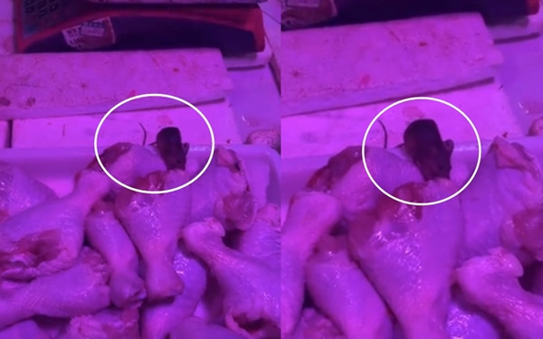 Di cho mua dui ga, phat hien dieu kinh di