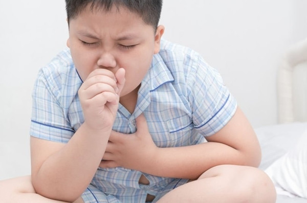 Con ho nua nam khong khoi chi vi loai vat dang so nay