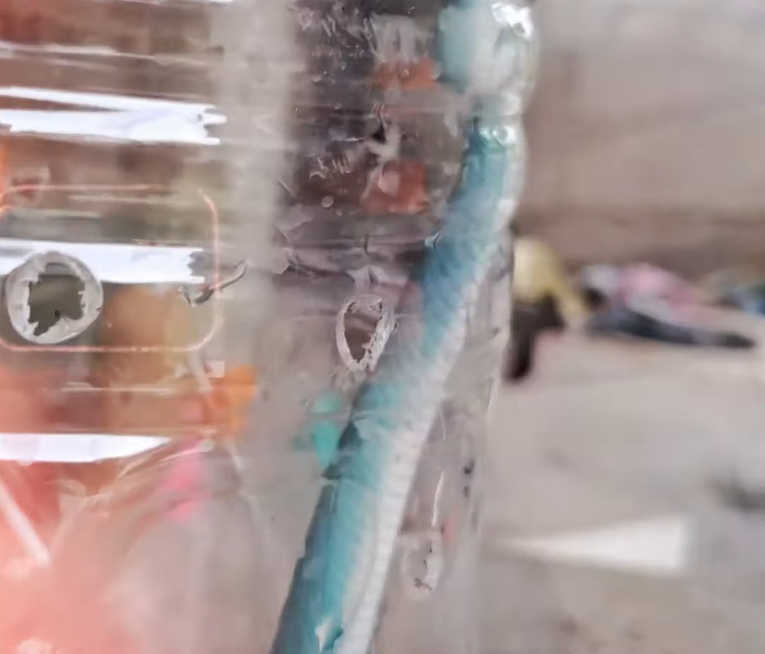 Vì người Thái tin rằng rắn tượng trưng cho sự giàu có và rắn xanh đặc biệt may mắn, chẳng khác gì phước báu nên bà Koson quyết định đi mua xổ số.