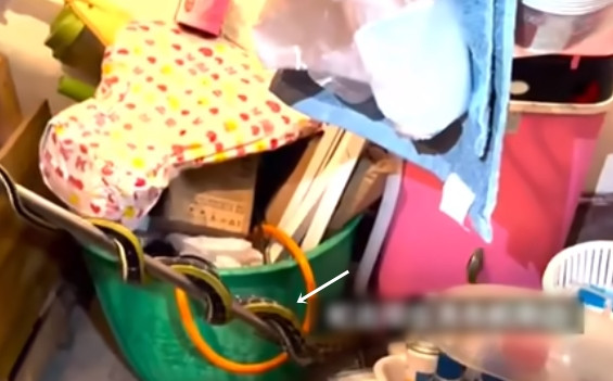 Ngay khi đến hiện trường, cảnh sát cứu hoả vào phòng để tìm con rắn. Cuối cùng, họ tìm thấy con rắn dưới gầm máy giặt và cố gắng kéo nó ra ngoài.