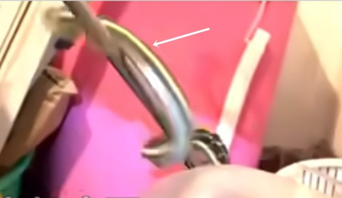 Cuối cùng, phải dùng đến dụng cụ chuyên nghiệp, lực lượng cứu hoả mới bắt được con rắn này.