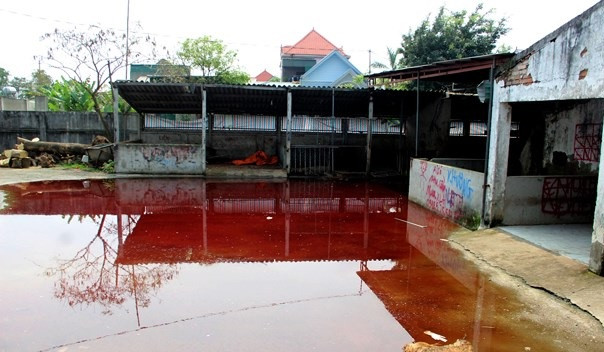 Dong cua lo mo o nhiem, mau tu lenh lang khap san