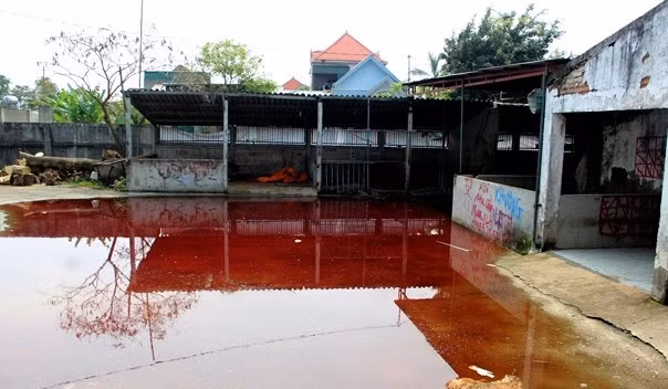 Dong cua lo mo o nhiem, mau tu lenh lang khap san