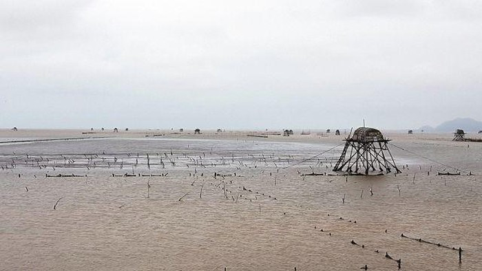 Phòng NN&amp;PTNT khuyến cáo người dân không được sử dụng các chất độc hại, chất cấm làm ảnh hưởng đến môi trường vùng nuôi khi chưa xác minh được cụ thếsinh vật lạlà gì.