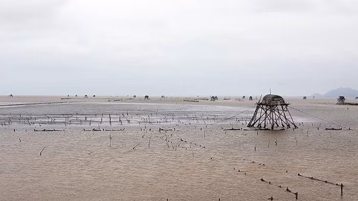 Phòng NN&amp;PTNT khuyến cáo người dân không được sử dụng các chất độc hại, chất cấm làm ảnh hưởng đến môi trường vùng nuôi khi chưa xác minh được cụ thếsinh vật lạlà gì.