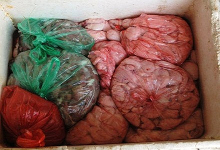 Cảnh tượng những túi nội tạng động vật bốc mùi hôi thối, chứa trong các thùng xốp, lõng bõng nước đang được vận chuyển về Bắc Ninh tiêu thụ bị lực lượng chức năng tóm gọn hồi tháng 11/2013. Ảnh: Tiền Phong.