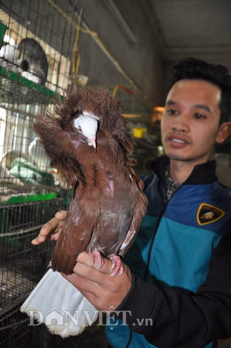 Can canh bo cau su tu khien dan choi “me nhu dieu do”-Hinh-2