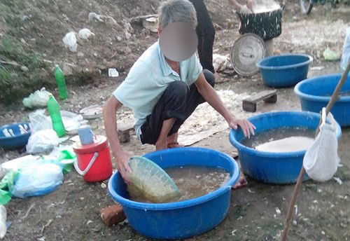 Những chậu nước cáu bẩn, chai lọ và hóa chất hãm tiết canh bày la liệt trên mặt đất. Ảnh minh họa.