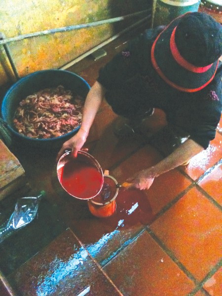 Hãm tiết canh vịt trong một khoảng sân rất nhỏ và bẩn thỉu, xung quanh là phân vịt, vịt sống và lông vịt. Ảnh: Lao động.