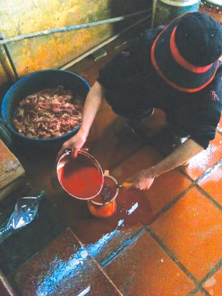 Hãm tiết canh vịt trong một khoảng sân rất nhỏ và bẩn thỉu, xung quanh là phân vịt, vịt sống và lông vịt. Ảnh: Lao động.