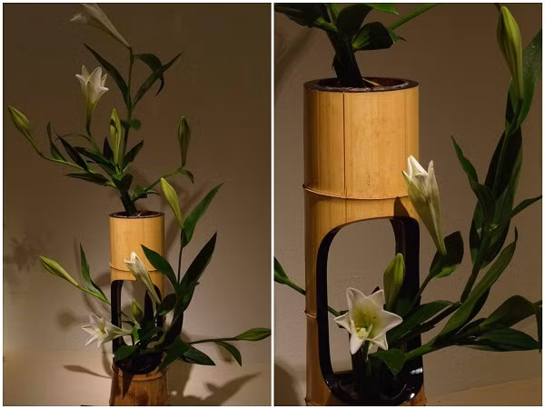 Cắm loa kèn theo phong cách nghệ thuật Nhật Bản Ikebana, mỗi cành loa kèn có từ 2-3 bông. Ảnh minh họa.