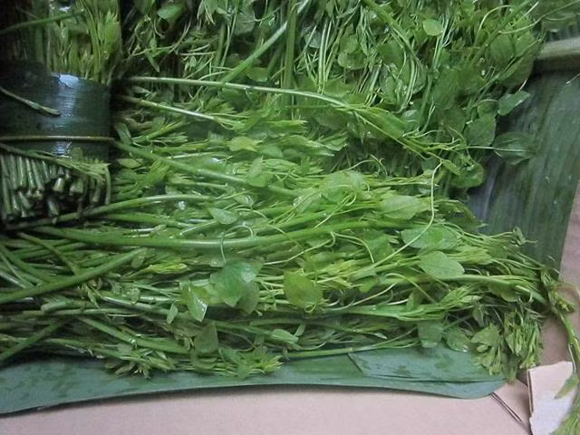 Anh Nguyễn Văn Tú (tiểu thương cung cấp rau bò khai Cao Bằng) cho biết: "Ngoài mua ăn vì ngon, nhiều khách mua rau này còn vì chúng có công dụng tốt chữa các bệnh viêm thận, gan, viêm đường tiết niệu. Tại các vùng trồng rau này, giá rau chỉ khoảng 5.000 - 6.000 đồng/bó. Khi mang về thành phố, công vận chuyển, cộng với số lượng hàng không nhiều nên giá rau bò khai mới đắt đỏ".