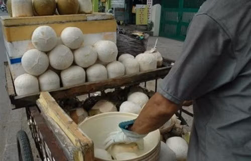 Khi ngâm dừa xiêm, các tiểu thương phải đeo găng tay để không dính hóa chất. Ảnh: Nông nghiệp Việt Nam.