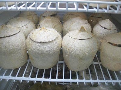 Thuốc tẩy là loại tẩy nhà vệ sinh hoặc tẩy quần áo dùng ngâm dừa có giá từ 40.000 - 70.000 đồng/kg. Pha một lạng bột này với một chén thuốc tẩy cùng vào xô nước bỏ quả dừa vào ngâm khoảng 4 phút là quả dừa có thể trắng được cả tuần. Ảnh minh họa.